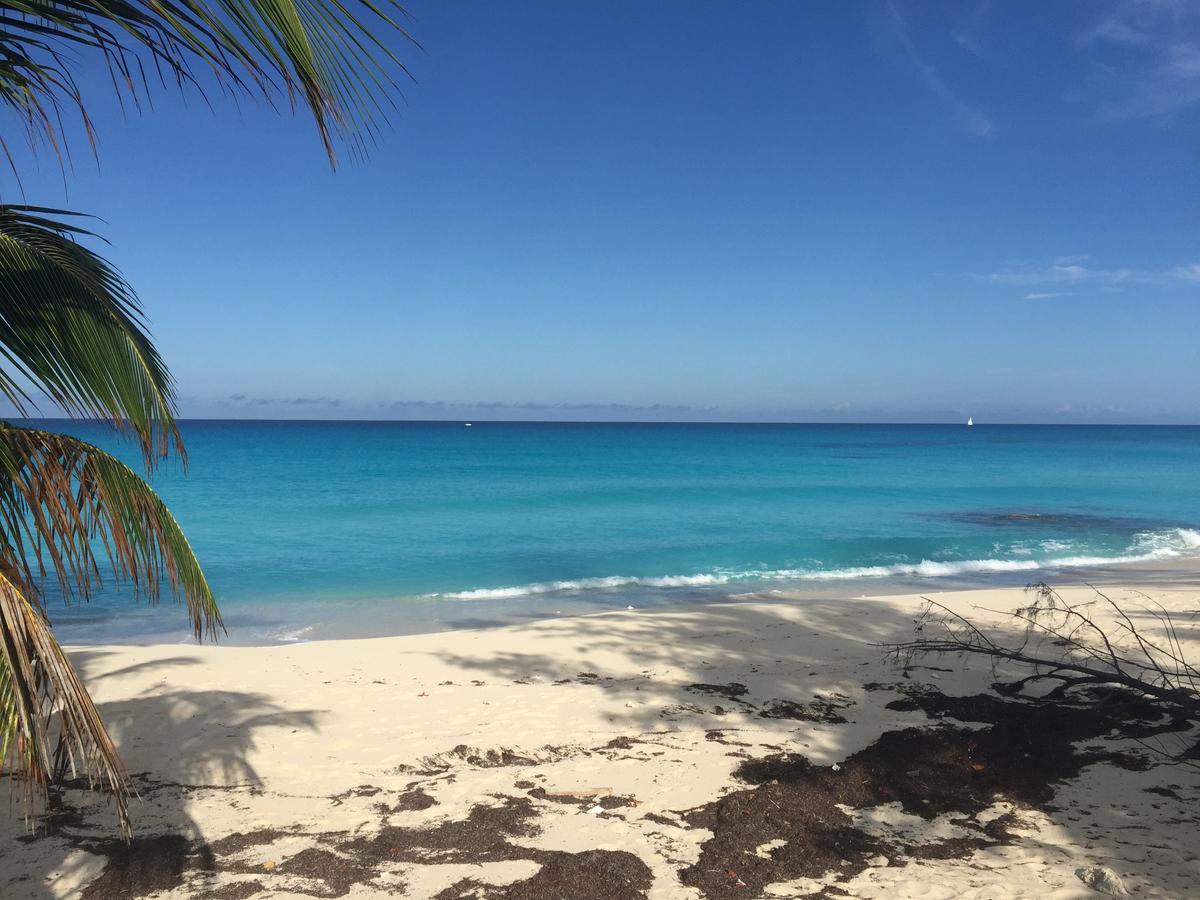 Bimini Seaside Villas - Pink Cottage With Beach View Alice Town  Bagian luar foto