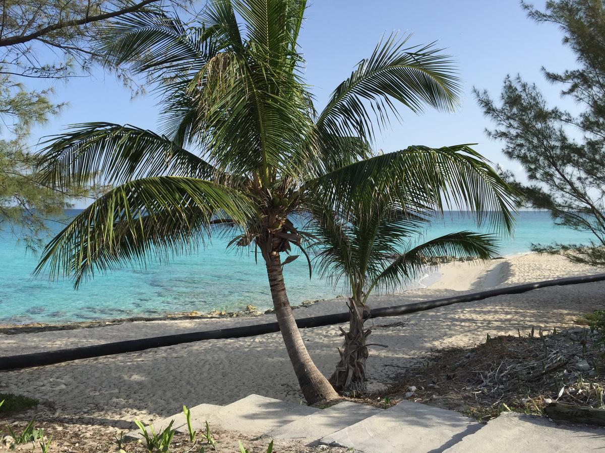 Bimini Seaside Villas - Pink Cottage With Beach View Alice Town  Bagian luar foto