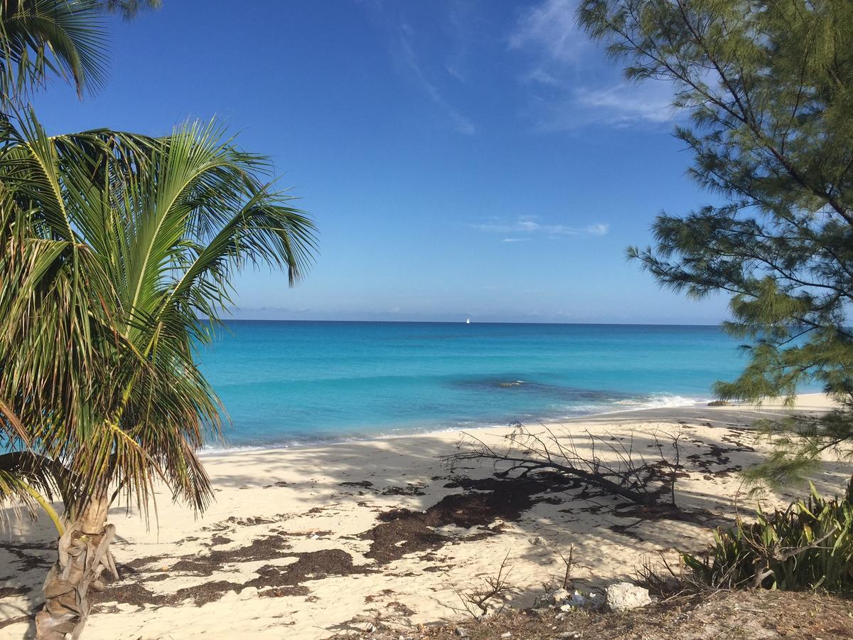 Bimini Seaside Villas - Pink Cottage With Beach View Alice Town  Bagian luar foto