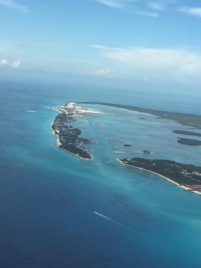 Bimini Seaside Villas - Pink Cottage With Beach View Alice Town  Bagian luar foto